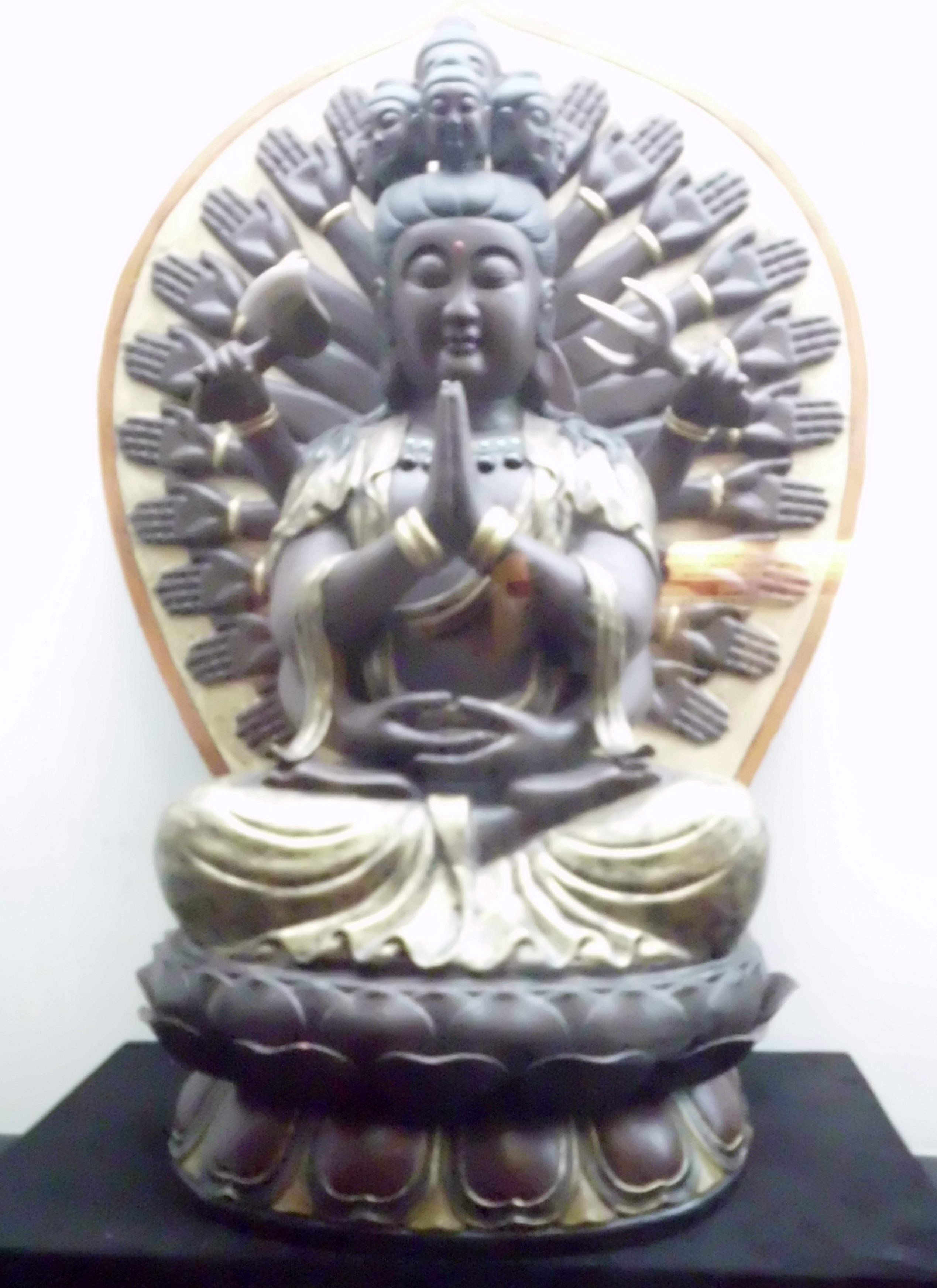 Preface – In the footsteps of Bodhisattvas / My own coming Forward