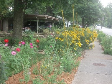 There is something the ancient sage, saint, and shaman have always known and taught through the ages. That leading the way by staying behind is always best….