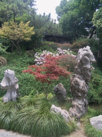 The joy found in blissful awakening through mindfulness, meditation, and attuning to and with our mental and physical health and well-being.