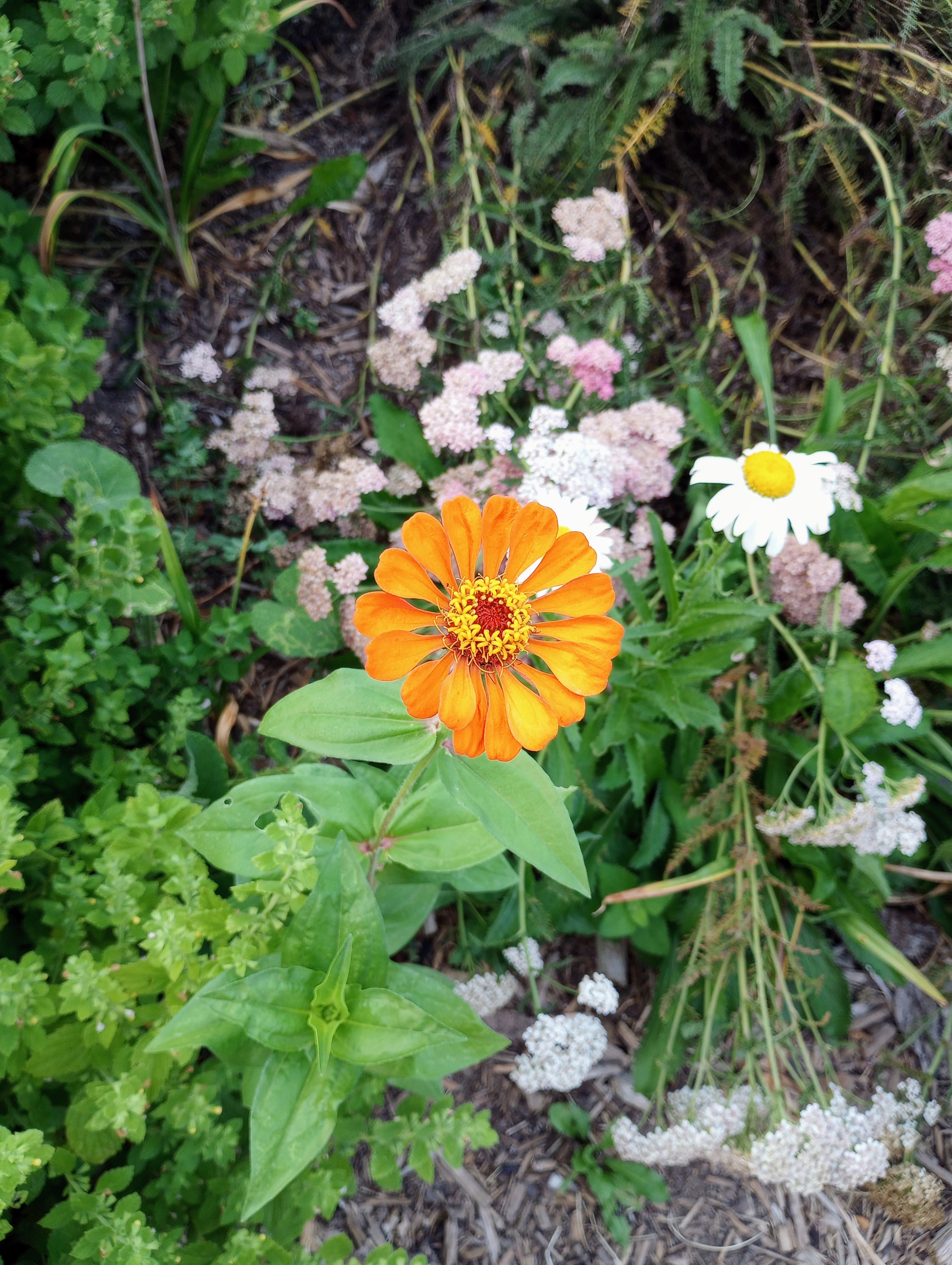 To find ourselves living beyond the beyond… as we long for something more. As told in the song “Al di la.” 