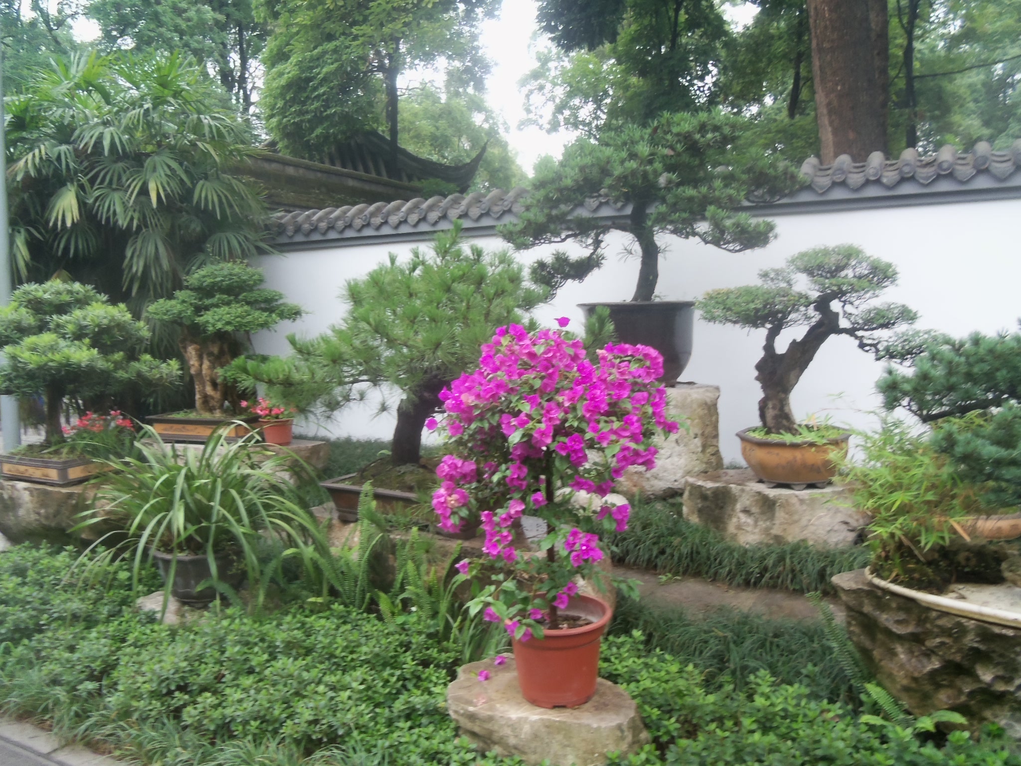 Feng Shui – Following the natural flow of the garden Part 3 of 3 