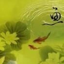Feng Shui – Following the natural flow of the garden Part 2 of 3    