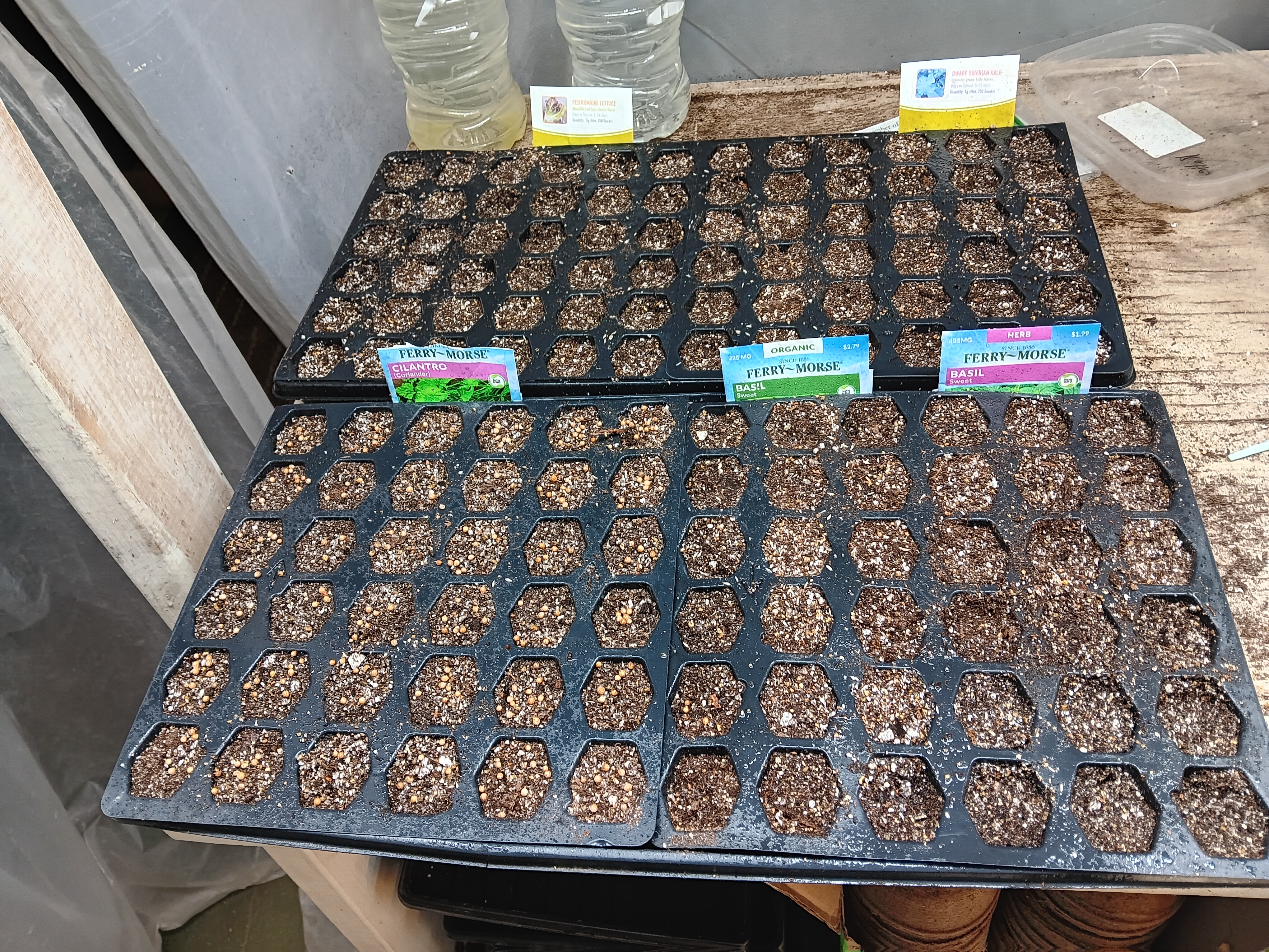 Gardens are the mirror image of ourselves    