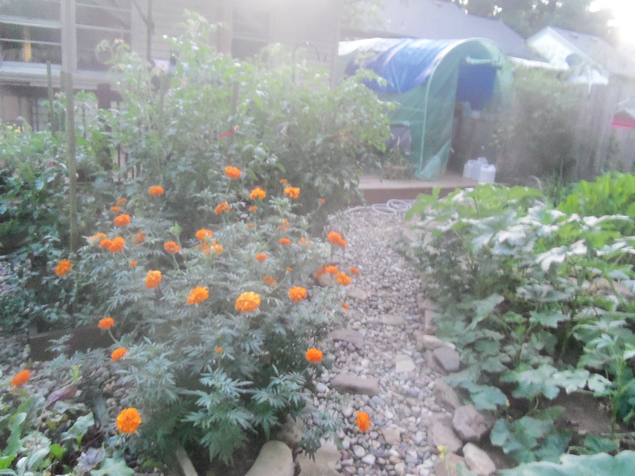 Gardening updates with more repotting and labels