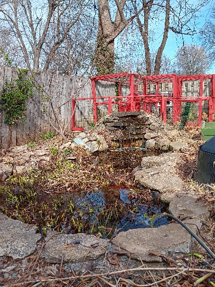 Chickens just want to be free.