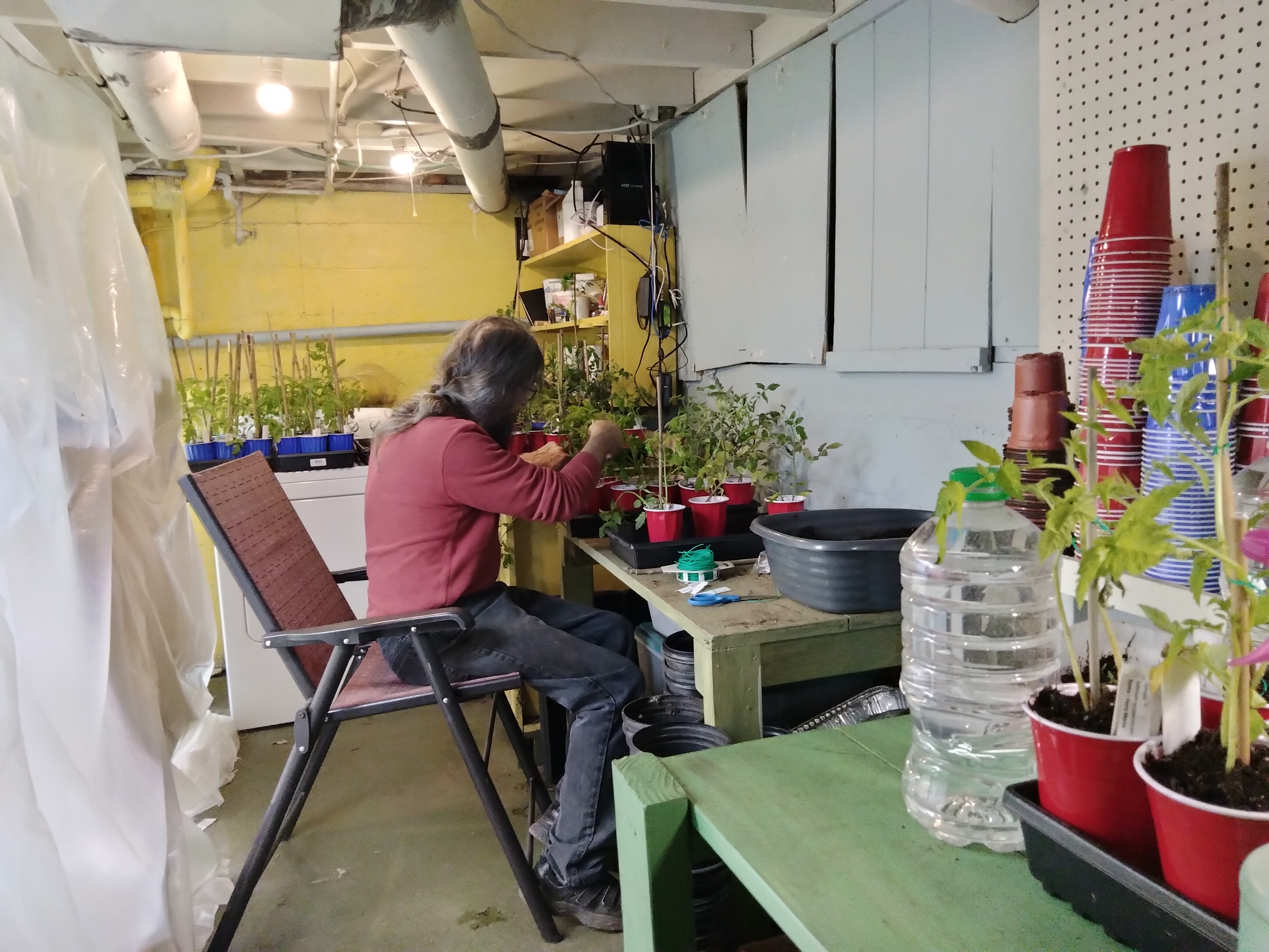 Repottiing plants Day 1