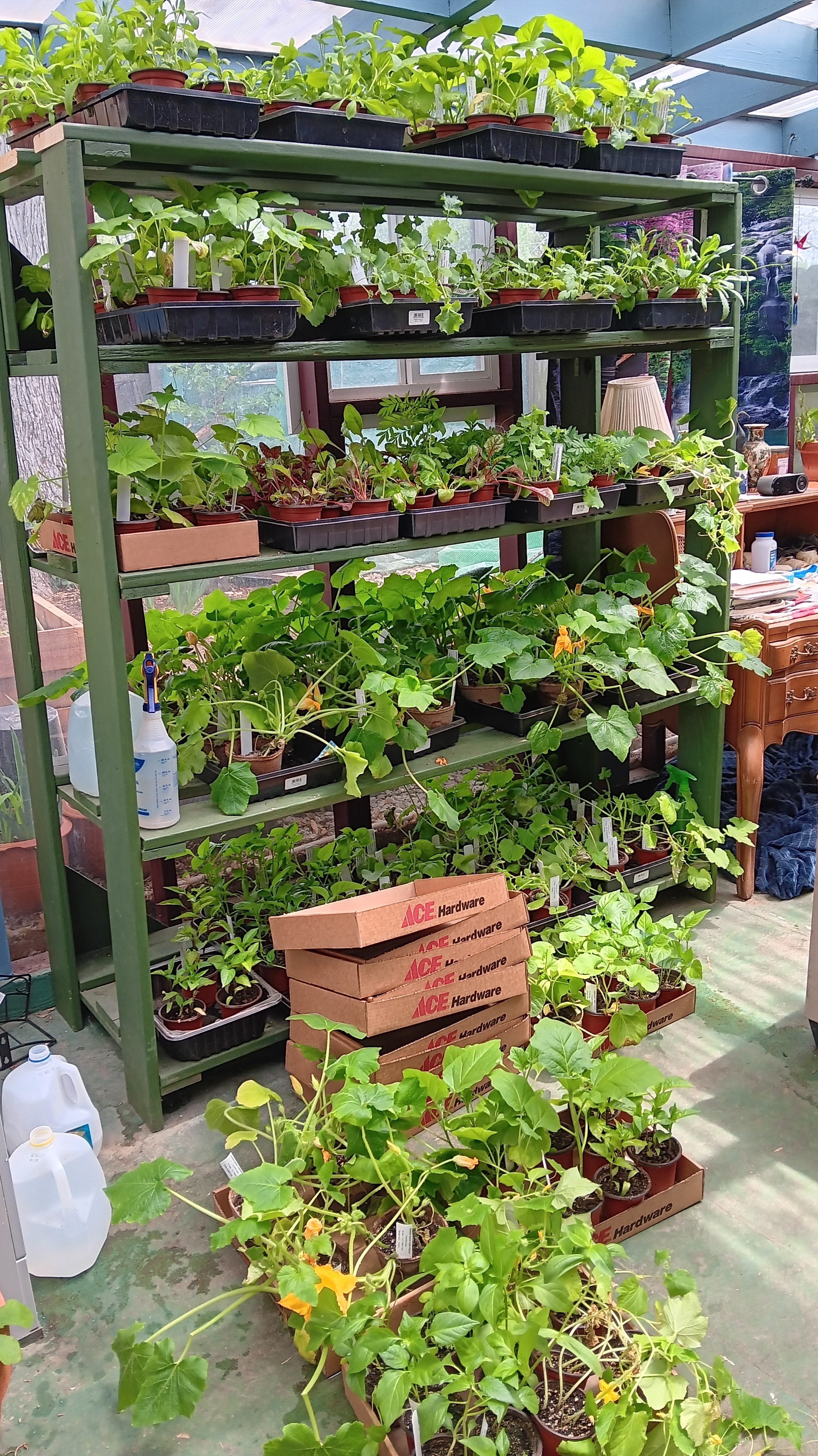 Plant sales this weekend!