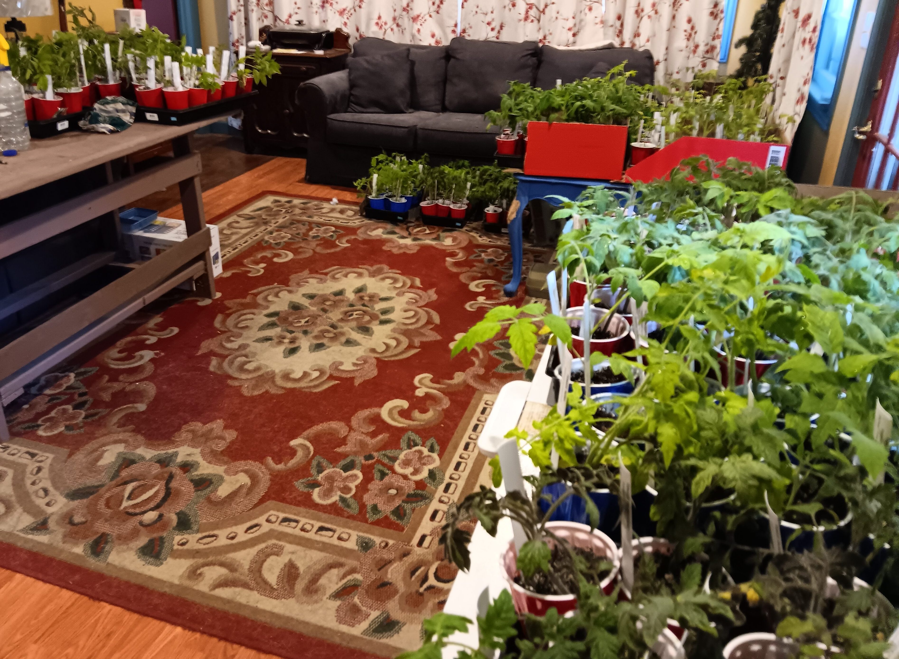 It’s an exciting time to be out in the garden! 