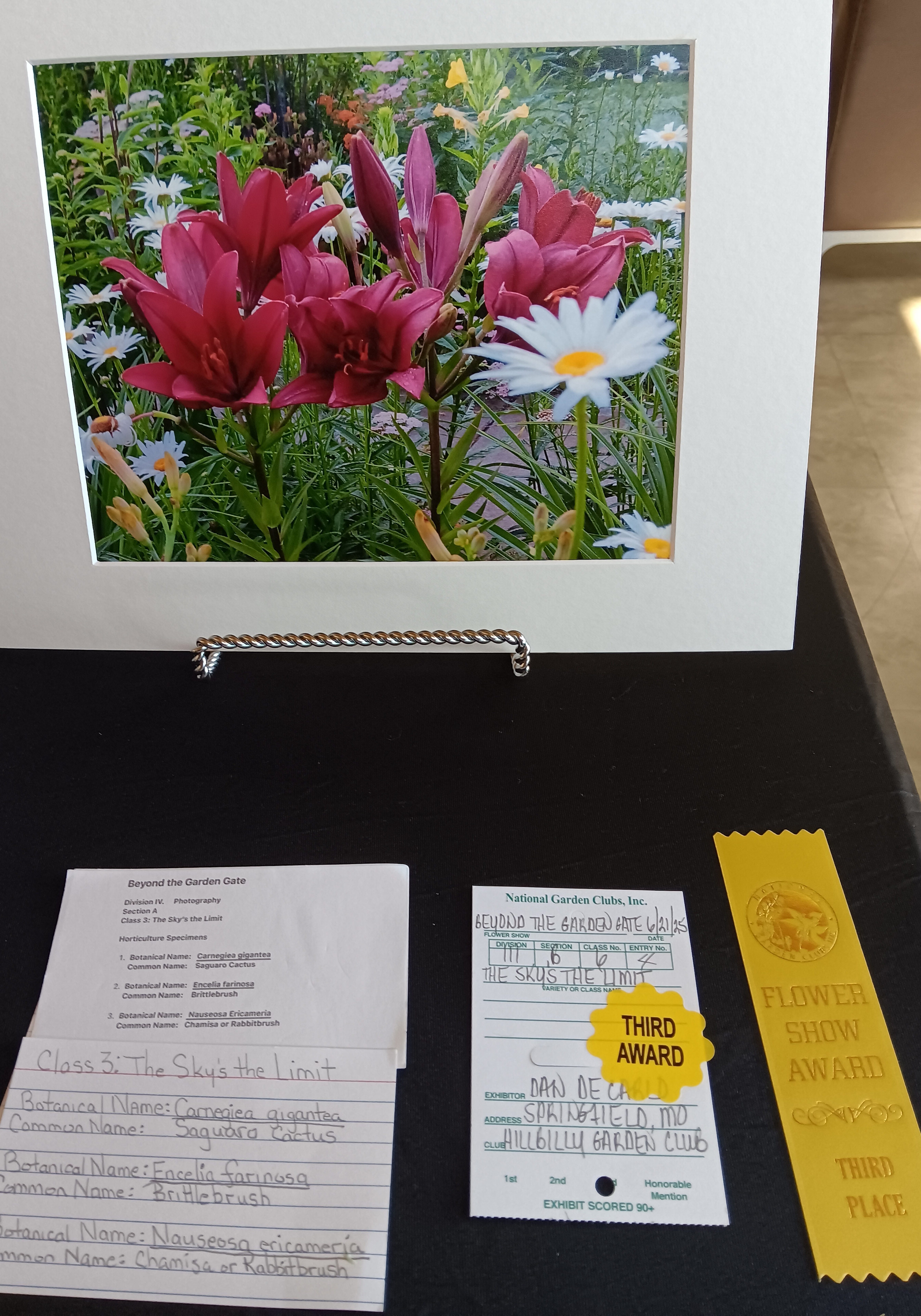 Hillbilly Garden Club Flower Show