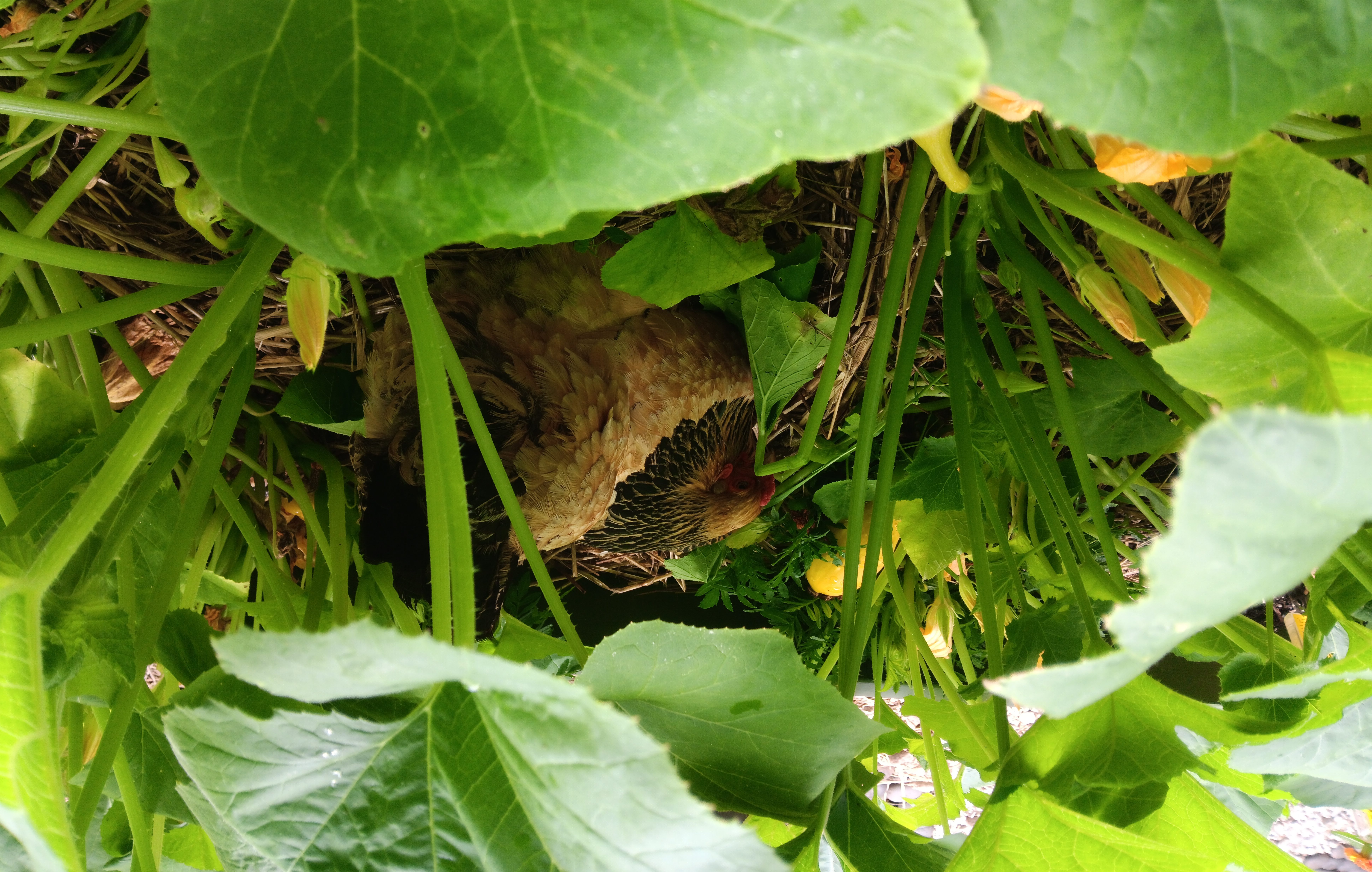 It’s a chicken and egg thing.