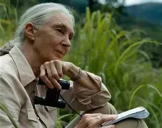 Remembering the legacy of hope with Jane Goodall.