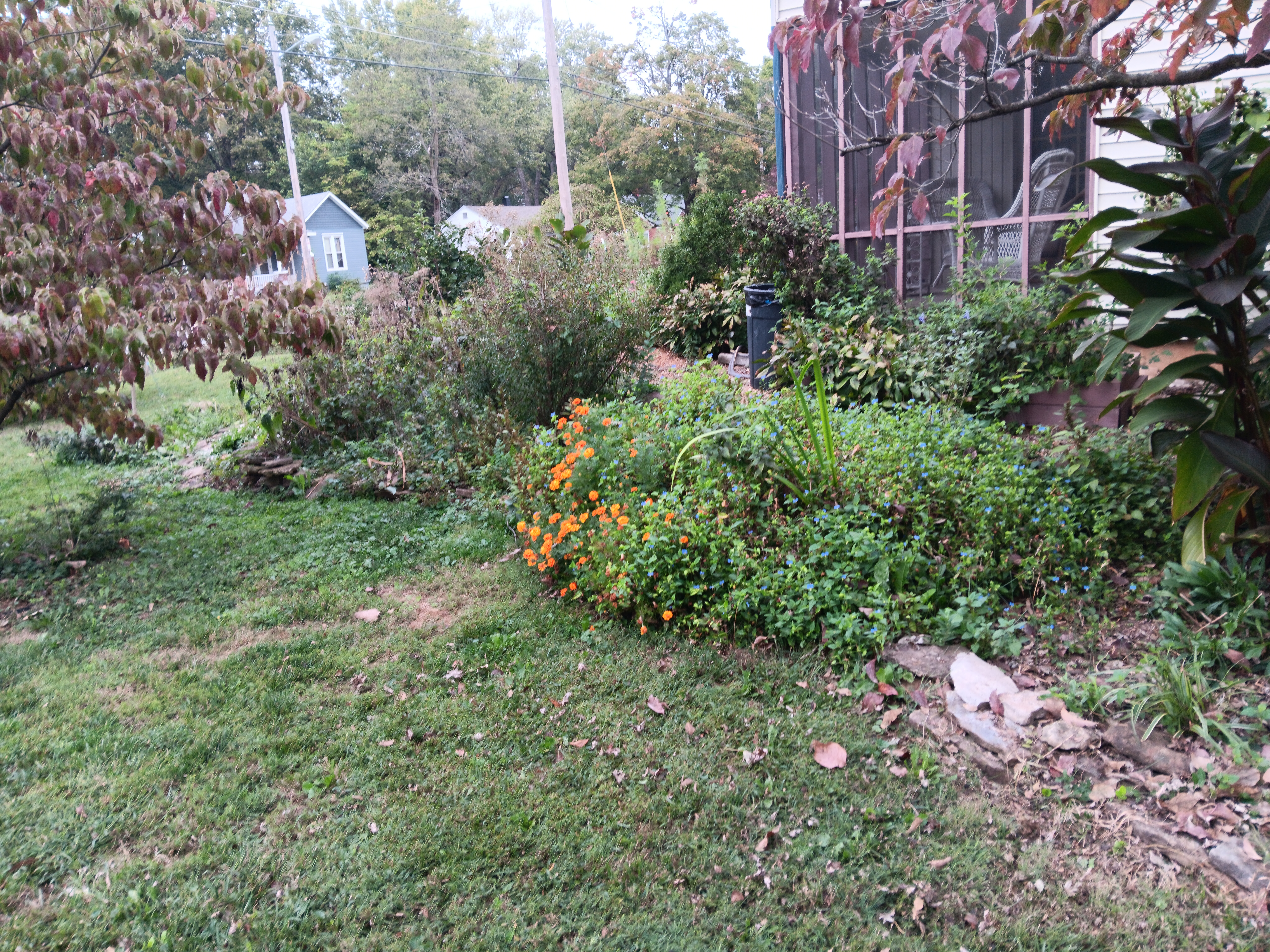 Mid-October cutting back flower beds