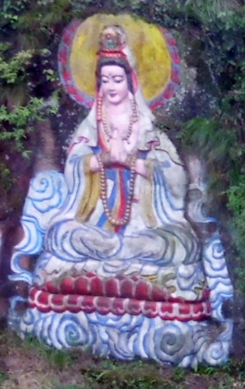 Learning how we choose to live.