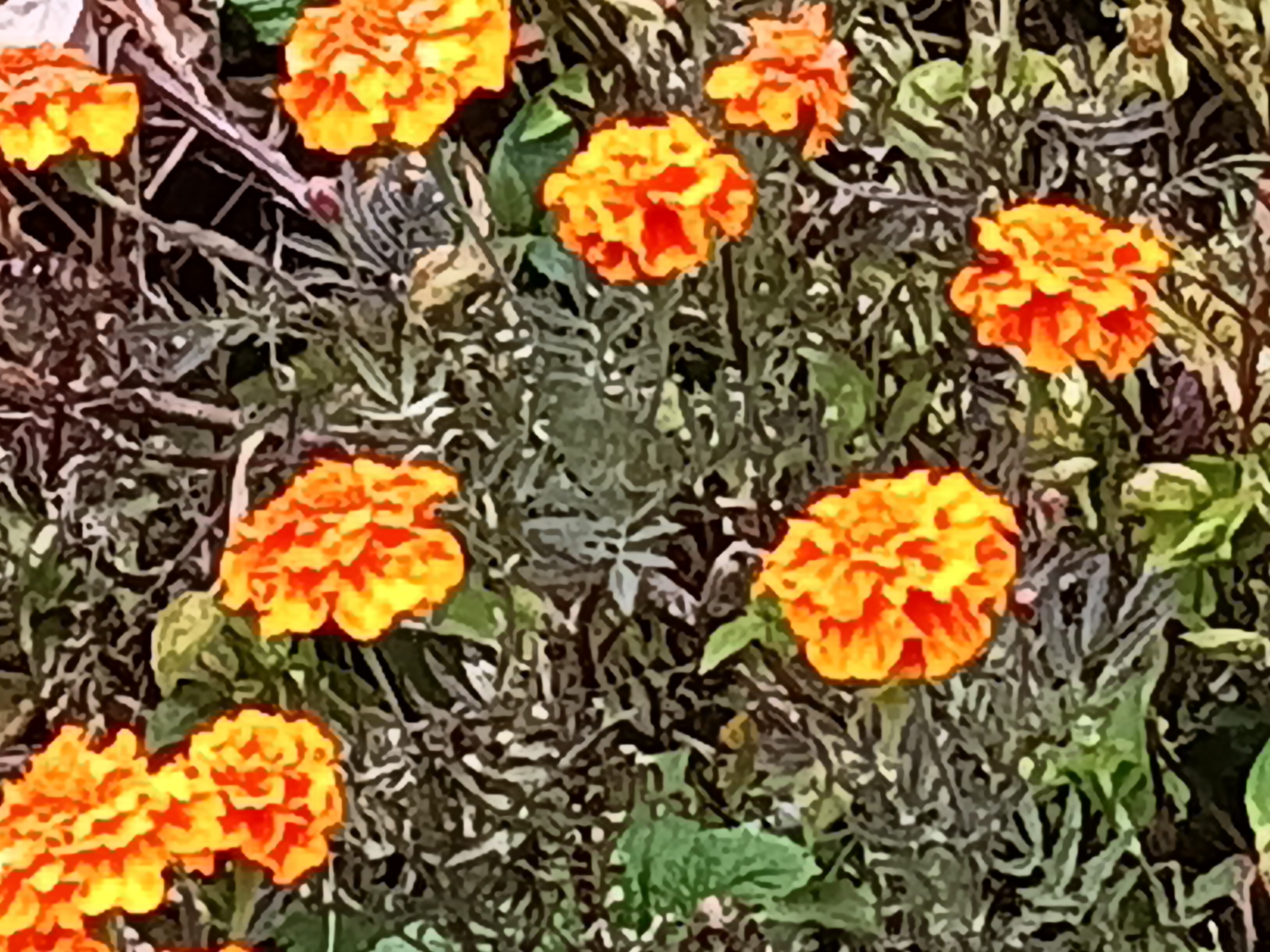 Becoming master gardeners of spirit.